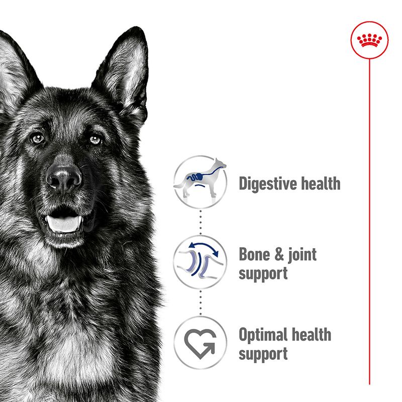 Royal Canin Maxi Adult  4kg - Image 2