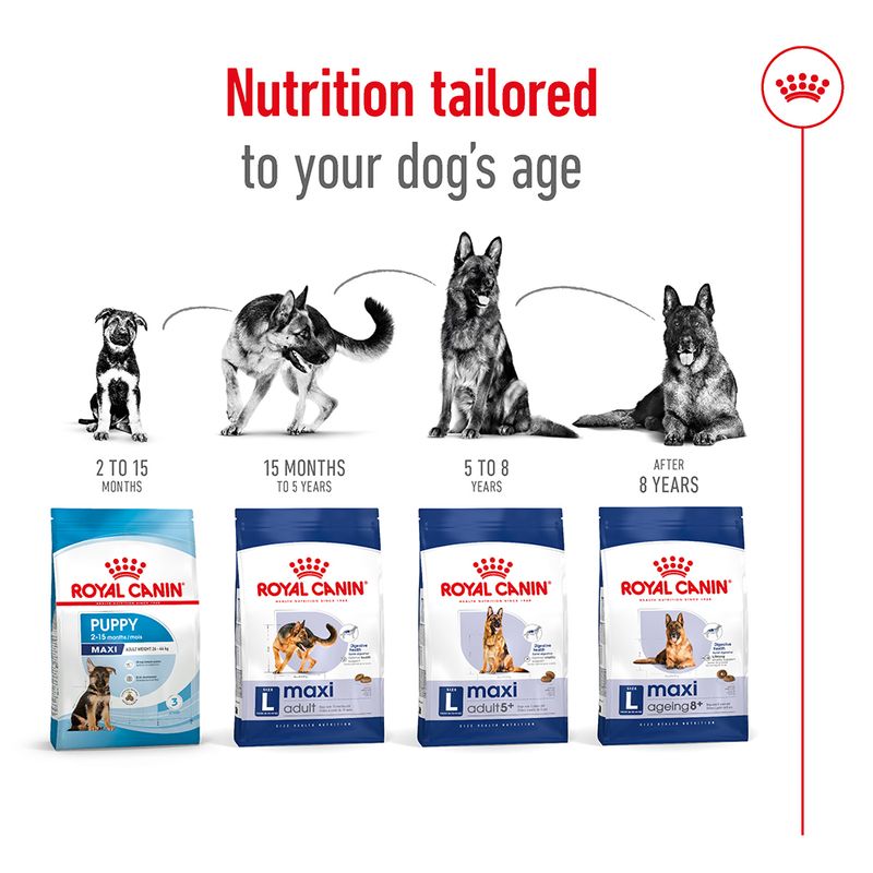 Royal Canin Maxi Adult  4kg - Image 5