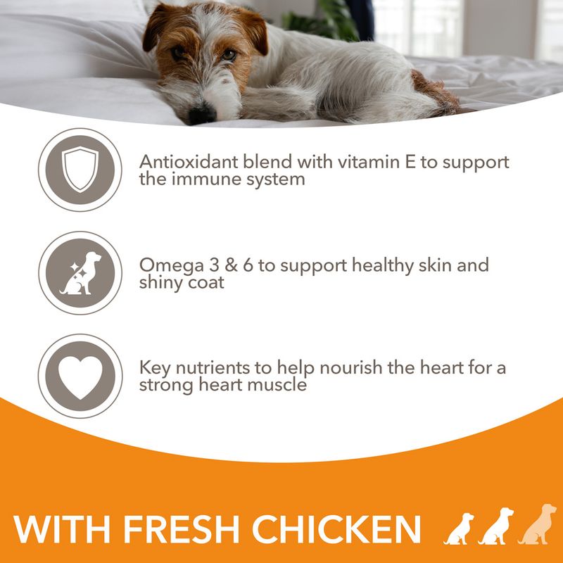 IAMS Advanced Nutrition Adult Small & Medium Dog - Chicken - Image 5