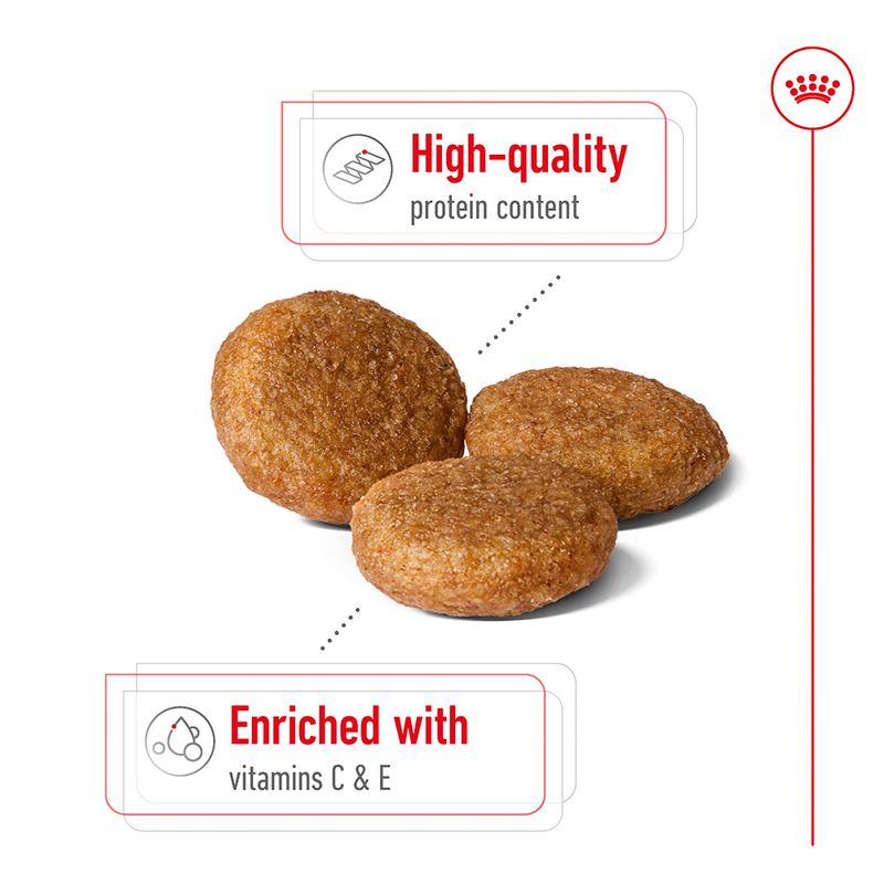 Royal Canin Medium Adult  4kg - Image 3