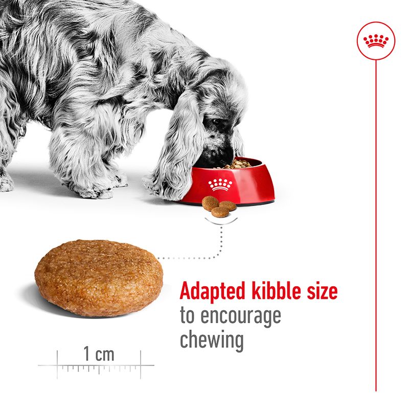 Royal Canin Medium Adult  4kg - Image 4